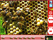 Соты - скрытые пчёлы